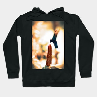 Caribbean Hummingbird Hoodie